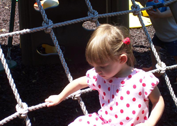 littleBee3Cutie.jpg